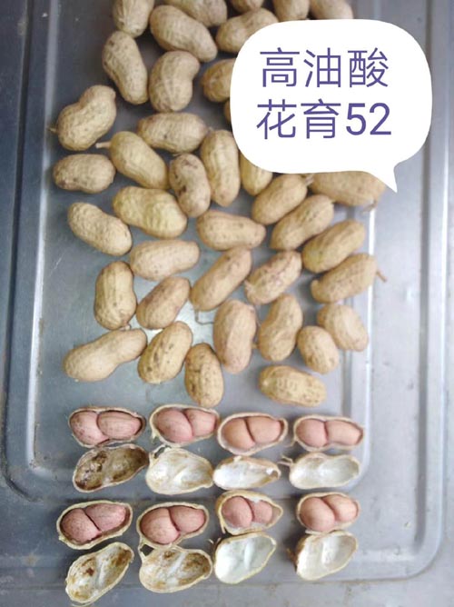 Ứ52